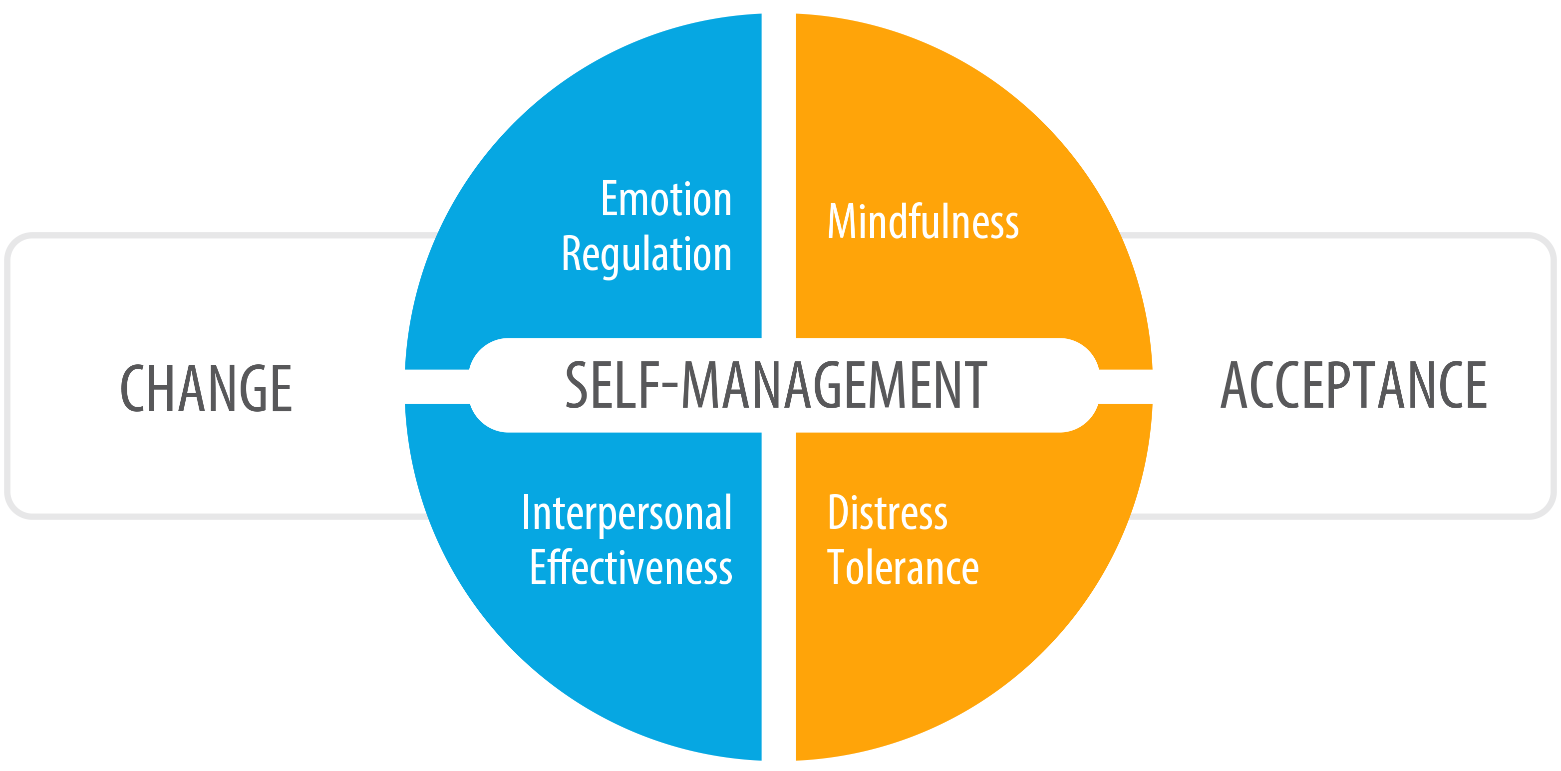 DBT model