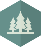 tree icon