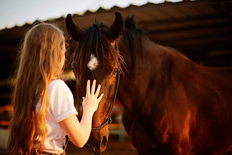 young girl petting horse